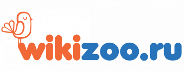 WikiZoo