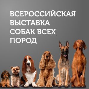 Всероссийская выставка собак всех пород (САС ЧФ) 